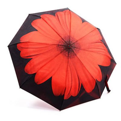 Oak Leaf Umbrella Just $12.99 (Reg $25)