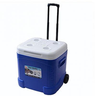 Igloo Ice Cube Roller Cooler Just $24.44 (Reg $65)