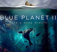 Free Blue Planet II Poster