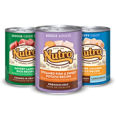 PetSmart: 2 Free Nutro Wet Cans