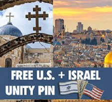 Free US + Isreal Unity Pin