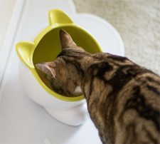 Free ViviPet Cat Litter Samples