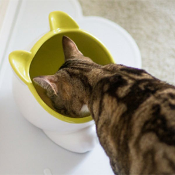 Free ViviPet Cat Litter Samples