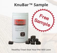 Free KnuBar Dog Treat Samples