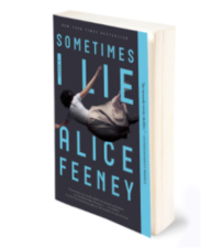 Free 'Sometimes I Lie' Book