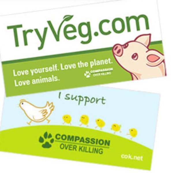 Free TryVeg Bumper Sticker