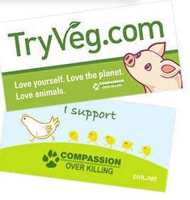Free TryVeg Bumper Sticker
