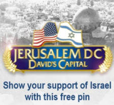 Free Israel / USA Pin