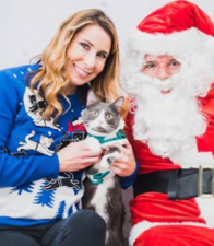 PetSmart: Free Santa Photo Days