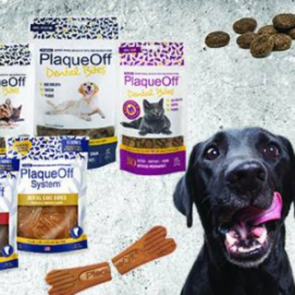 Free ProDen PlaqueOff Samples