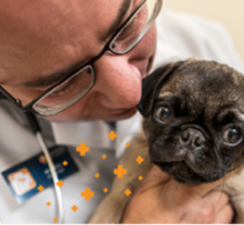 Free Banfield Pet Hospital Visit & Consultation
