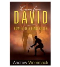 Free Lessons from David Book