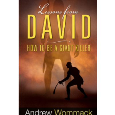 Free Lessons from David Book
