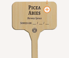 Free Bamboo Plant Markers