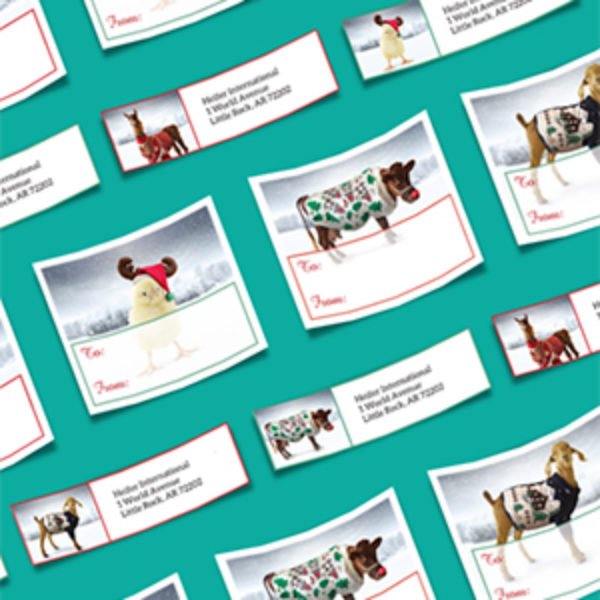 Free Heifer International Address Labels Oh Yes It S Free Heifer International Address Labels Oh Yes It S