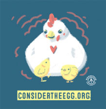 Free Consider The Egg Sticker