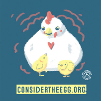Free Consider The Egg Sticker
