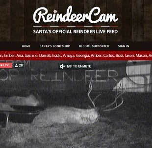 Free Reindeer Cam