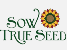 Free 2020 Sow True Seed Catalog