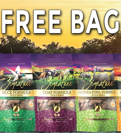 Free Ziggy Bar Dog Treats