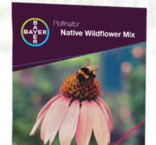 Free Wildflower Seed Mix from Bayer