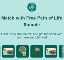 Free Path of Life Sample