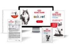 Free Royal Canin Hematuria Detection Sample