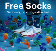 Free Socks from Ties.com