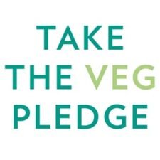 Free HipCityVeg Birthday Cake Shake