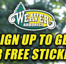Free Weaver Arborist stickers
