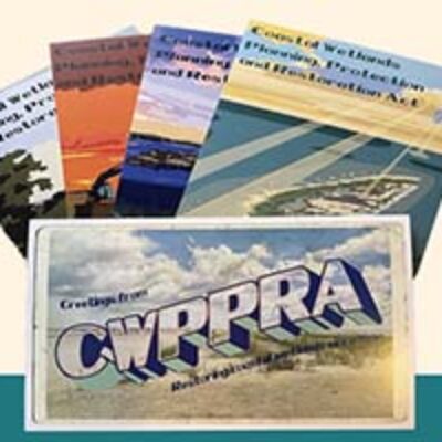 Free Coastal Wetlands Postcards