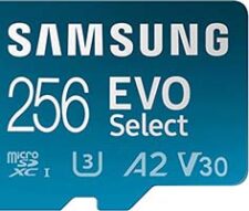 Samsung 256GB EVO Micro SD Card