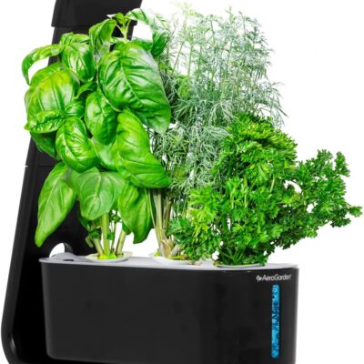 Experience the Joy of Indoor Gardening with AeroGarden Sprout - Now Only $49.99 on Amazon!