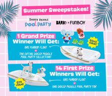 nter to Win the Ultimate Doggy Pool Party Prize Package