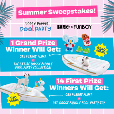 Enter to Win the Ultimate Doggy Pool Party Prize Package