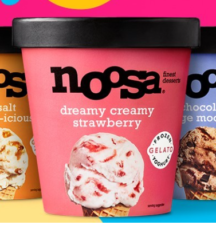 Free Frozen Yoghurt Gelato with noosa Chatterbox