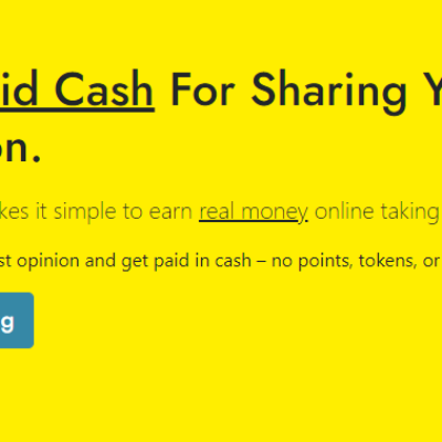 Earn Cash for Your Opinions with Earn Haus Surveys