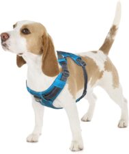 Outward Hound Boulder Adventure Adjustable Dog Harness