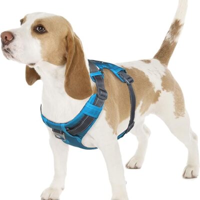 Boulder Adventure Adjustable Dog Harness only $31.00