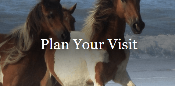 National Park Entrance Days