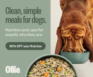 Ollie's