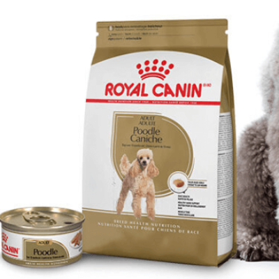 Possible Free Royal Canin Poodle Chatterbox