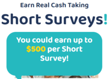 Extra Income with PaidSurveyPro