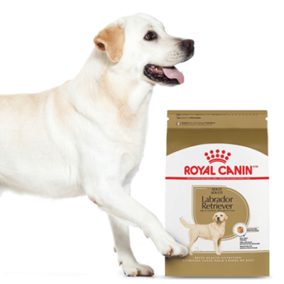 Possible Free Royal Canin Labrador Retriever Chatterbox