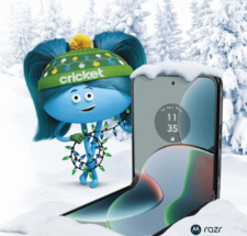 12 Days of Cricket Sweepstakes