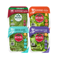 Revol Greens' Fresh Lettuce