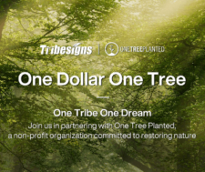 Plant Trees Giveaway 2023