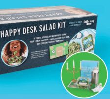 exclusive Little Leaf Farms Happy Desk Lunch Kit