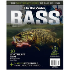 Free BASS Special Edition Magazine