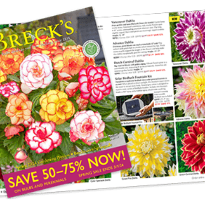 Free Breck's Seed Catalog